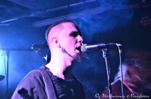 1_DSC_1-1